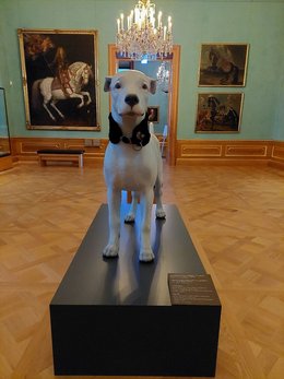 Teaserbild zur Veranstaltung Mein 1. Museumsbesuch: Keine Angst vor großen Hunden