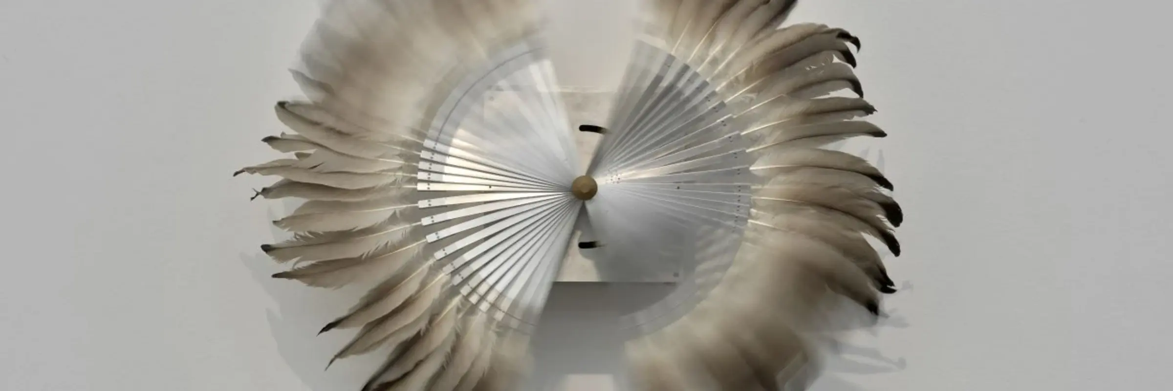 Rebecca Horn, Silver Crane, 1984