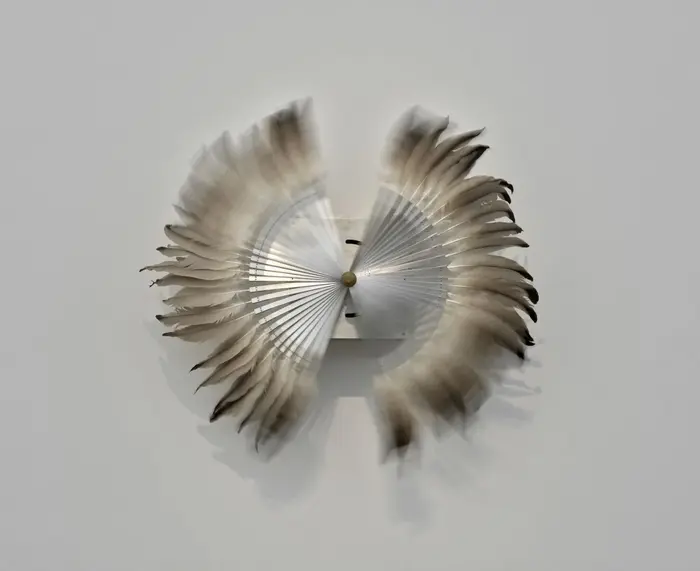 Rebecca Horn, Silver Crane, 1984