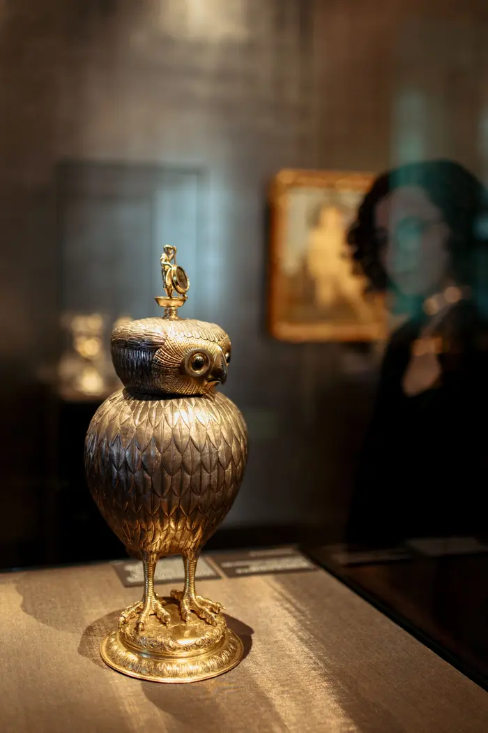 Besucherin schaut sich eine Eule in einer Vitrine an